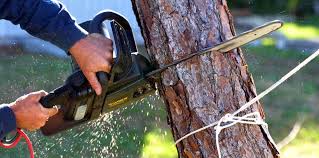 Leaf Removal in Granite Quarry, NC